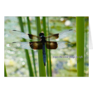 Blue Dragonfly Card