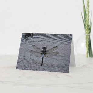 Blue Dragonfly Card