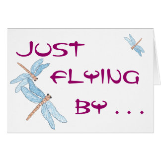 Blue Dragonfly Fly By