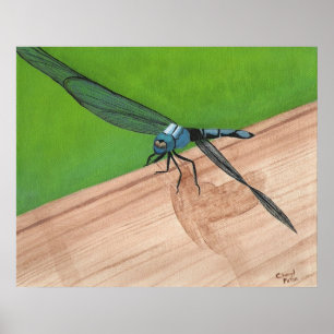 Blue Dragonfly Insect on a Rail Poster