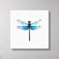 Blue Dragonfly - Insect Wildlife Animal Lover Ento