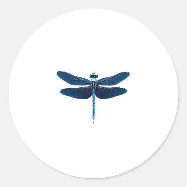 Blue Dragonfly - Insect Wildlife Animal Lover Ento Classic Round Sticker (Front)