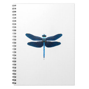 Blue Dragonfly - Insect Wildlife Animal Lover Ento Notebook