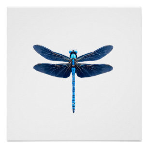 Blue Dragonfly - Insect Wildlife Animal Lover Ento Poster