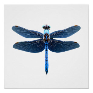 Blue Dragonfly - Insect Wildlife Animal Lover Ento Poster