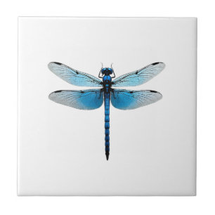 Blue Dragonfly - Insect Wildlife Animal Lover Ento Tile