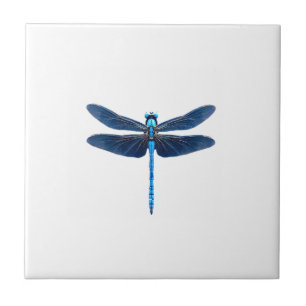 Blue Dragonfly - Insect Wildlife Animal Lover Ento Tile