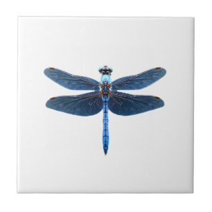 Blue Dragonfly - Insect Wildlife Animal Lover Ento Tile