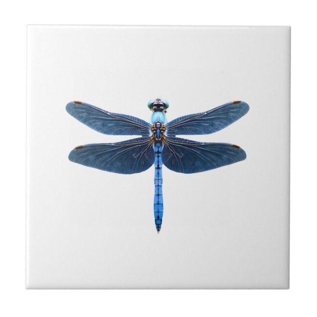 Blue Dragonfly - Insect Wildlife Animal Lover Ento Tile (Front)