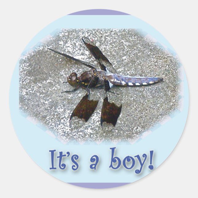 Blue Dragonfly It's a boy! New Baby Stickers (Front)