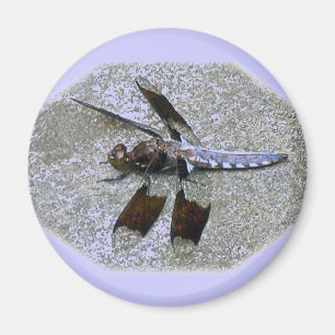 Blue Dragonfly Magnet