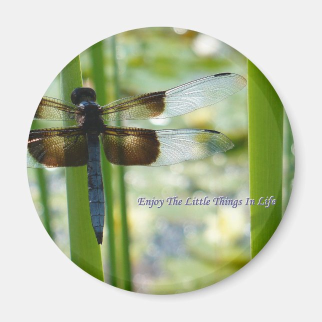 Blue Dragonfly Magnet (Front)