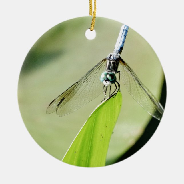 Blue Dragonfly on a green leaf Ceramic Tree Decoration (Front)