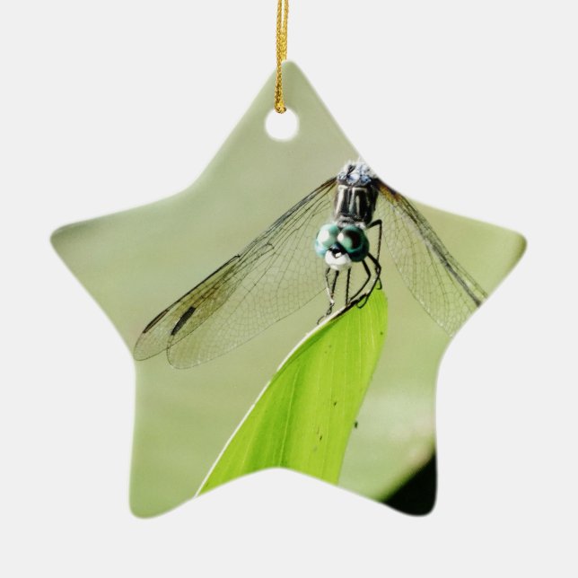 Blue Dragonfly on a green leaf Ceramic Tree Decoration (Front)