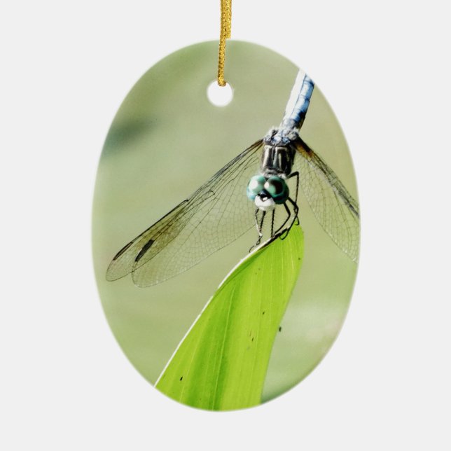 Blue Dragonfly on a green leaf Ceramic Tree Decoration (Front)