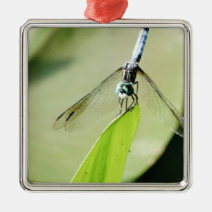 Blue Dragonfly on a green leaf Metal Tree Decoration
