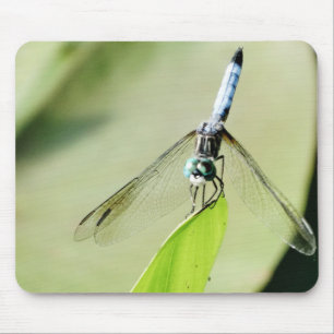 Blue Dragonfly on a green leaf Mouse Mat