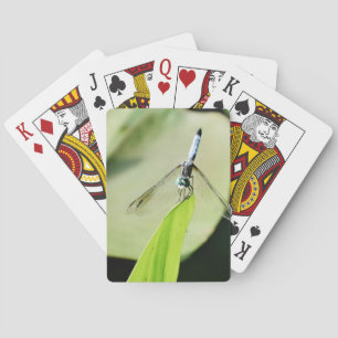 Blue Dragonfly on a green leaf Playing Cards