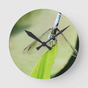 Blue Dragonfly on a green leaf Round Clock