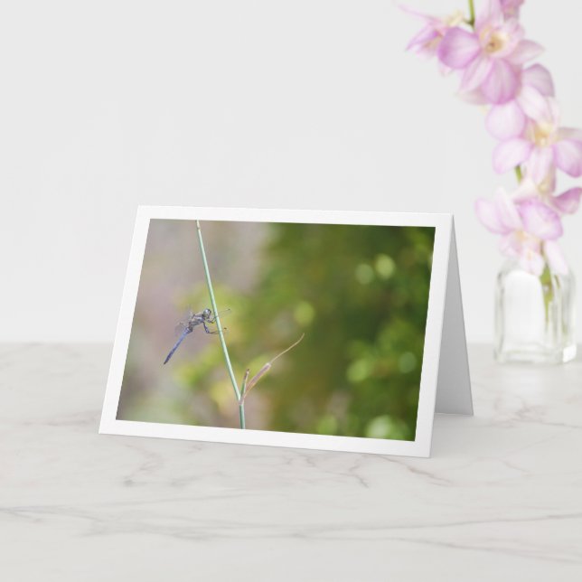 Blue Dragonfly on Stem Portrait Card (Orchid)