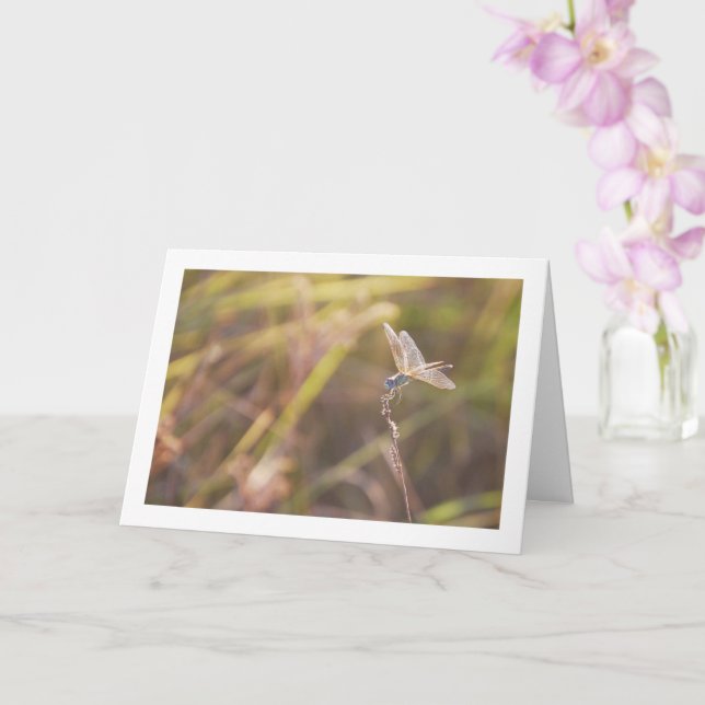 Blue Dragonfly on Stem Portrait Card (Orchid)