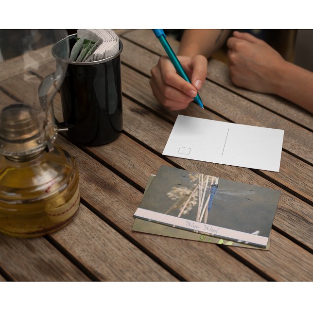 Blue dragonfly postcard (Creator Uploaded)