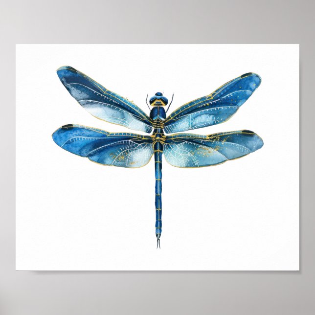 Blue dragonfly  poster (Front)