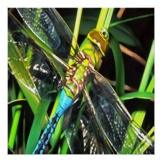 Blue Dragonfly Shimmering Wings Painting Poster