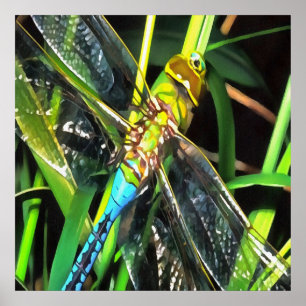 Blue Dragonfly Shimmering Wings Painting Poster