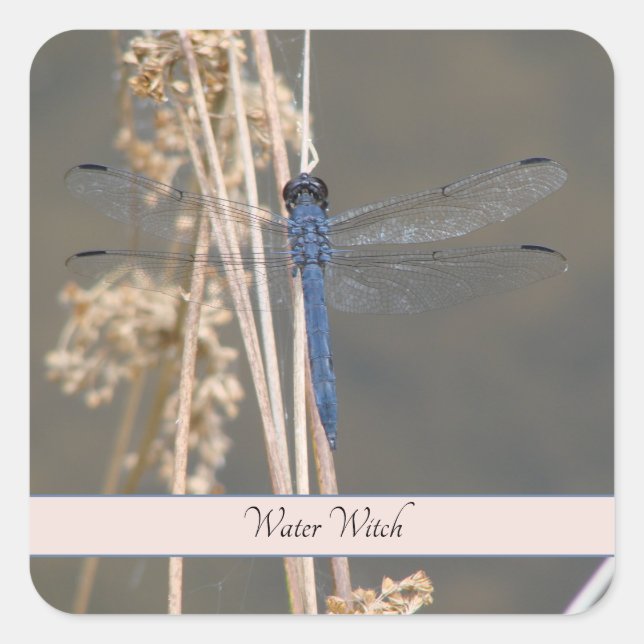 Blue dragonfly square sticker (Front)