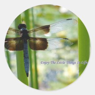 Blue Dragonfly Sticker