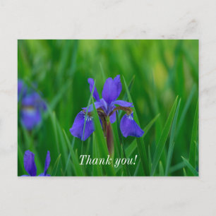 Blue Dutch Among Leaves Thank You Postcard