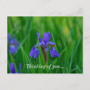 Blue Dutch Among Leaves Thinking Of You Postcard