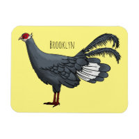 Blue eared pheasant bird cartoon illustration