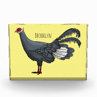 Blue eared pheasant bird cartoon illustration