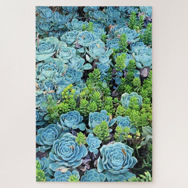Blue Echeveria Imbricata & Green Sedum Succulent Jigsaw Puzzle (Vertical)