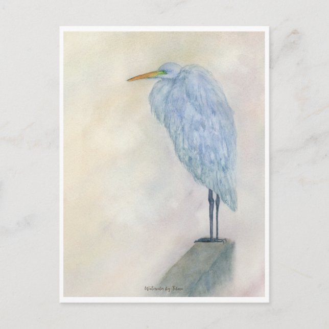 Blue Egret Watercolor Postcard (Front)