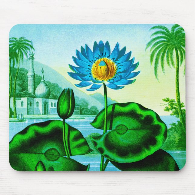 Blue Egyptian Water Lily / Lotus Illustration  Mouse Mat (Front)