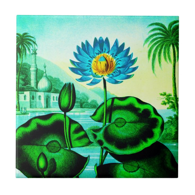 Blue Egyptian Water Lily / Lotus Illustration  Tile (Front)