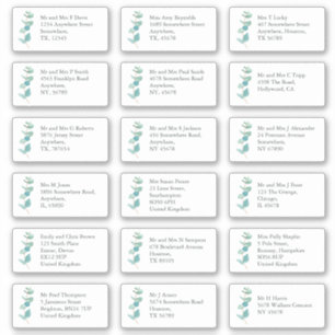 Blue EucaIyptus Individual Recipient Name Address