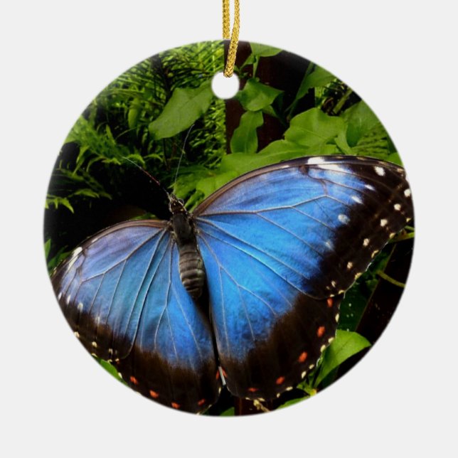 blue exotic butterfly ceramic tree decoration (Front)