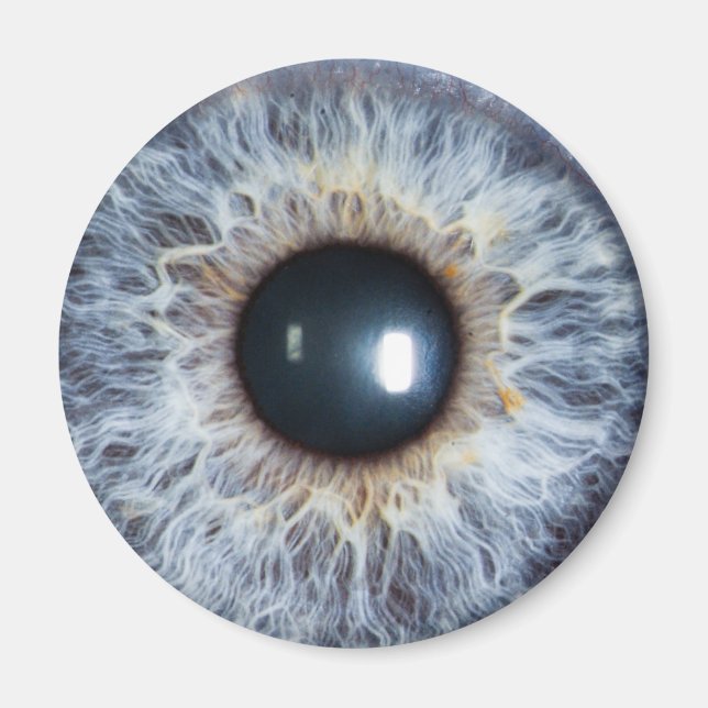 blue eye magnet (Front)