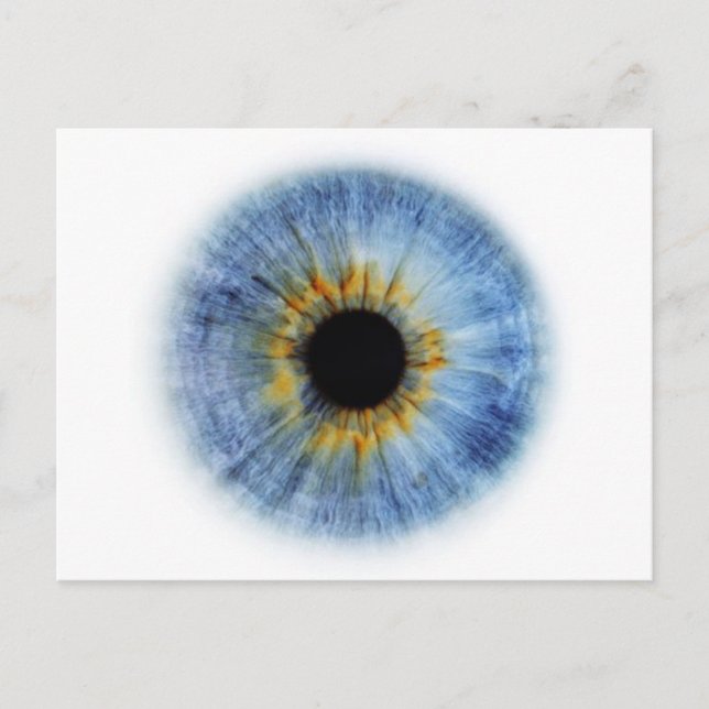 Blue Eyeball Postcard (Front)