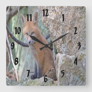 Blue Eyed Baby Fox Square Wall Clock