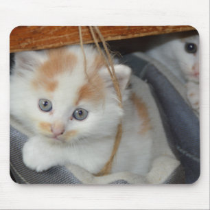 Blue Eyed, Brown and White patched Kitten in boot Mouse Mat