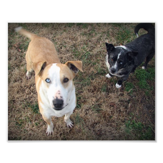 blue-eyed+brown-eyed photo print (Front)