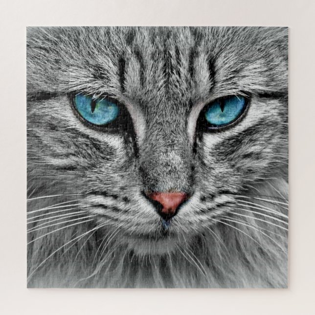 Blue Eyed Cat - Jigsaw Puzzle (Vertical)