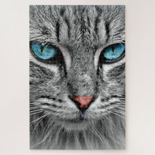 Blue Eyed Cat Jigsaw Puzzle Photo