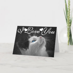 Blue Eyed Cat Photo Image I Love You Card
