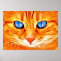 Blue-eyed Cat